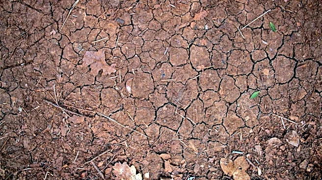 Rainfall Brings Drought Relief to Maryland