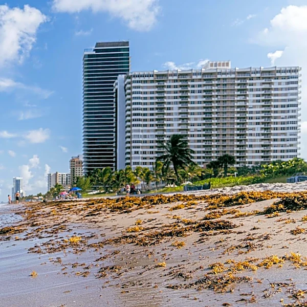 Vibrio vulnificus Cases Surge in Florida Ahead of Peak Season
