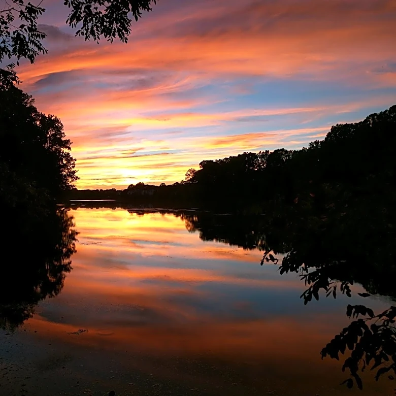 Days of Rainfall Provide Modest Drought Relief in Maryland