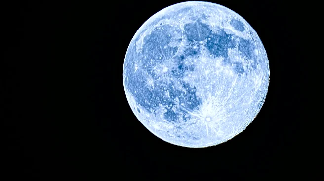 Rare Blue Moon and Micromoon to Peak on May 31 in Florida
