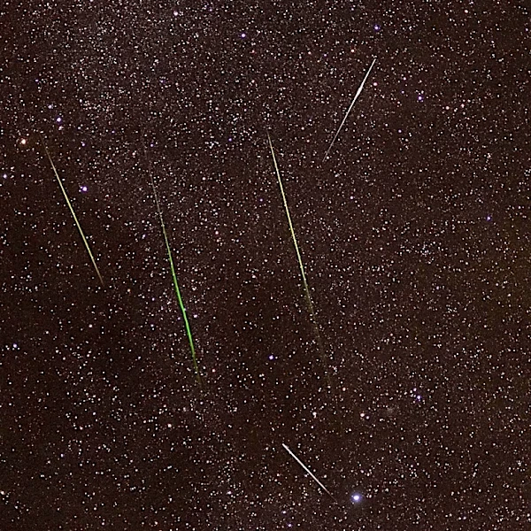 Florida Prepares for Spectacular Summer Meteor Showers