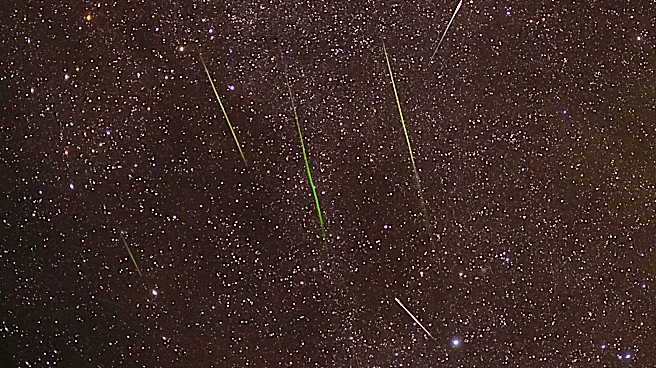 Florida Prepares for Spectacular Summer Meteor Showers