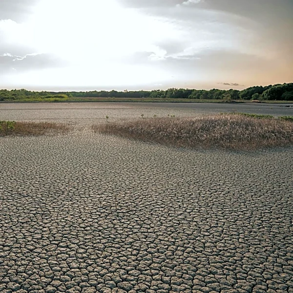 Global Heatwaves Intensify with Rising Temperatures, IPCC Warns