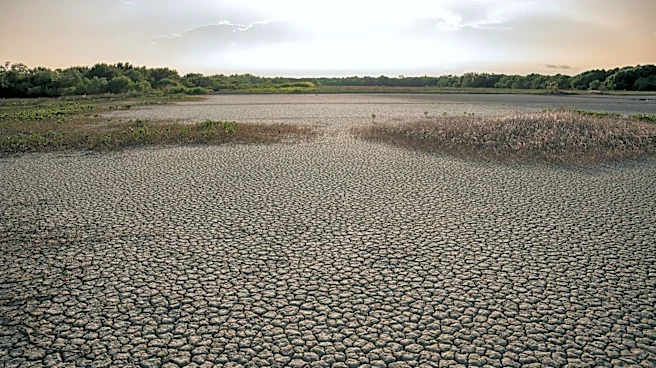 Global Heatwaves Intensify with Rising Temperatures, IPCC Warns