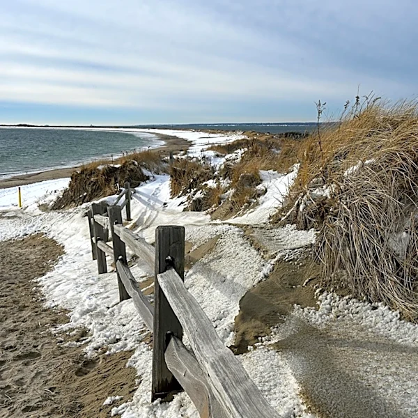 Wind Advisory Issued for Massachusetts and Rhode Island: Gusts Up to 50 mph Expected