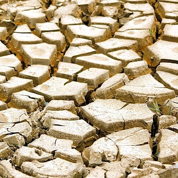Historical Weather Data Now Accessible Online