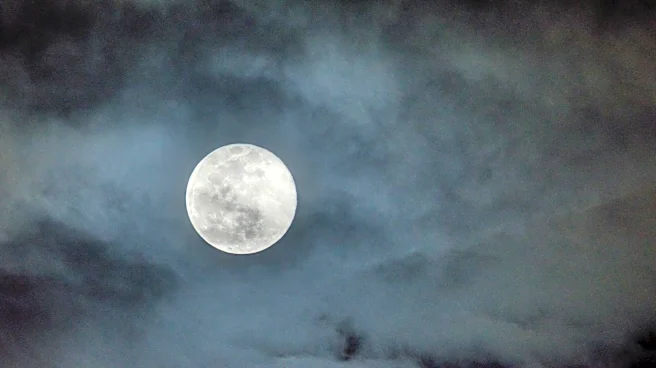 Rare Blue Moon Illuminates Skies Across Metro Detroit