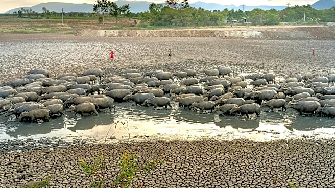Livestock Producers Eligible for Drought Relief Through USDA Program