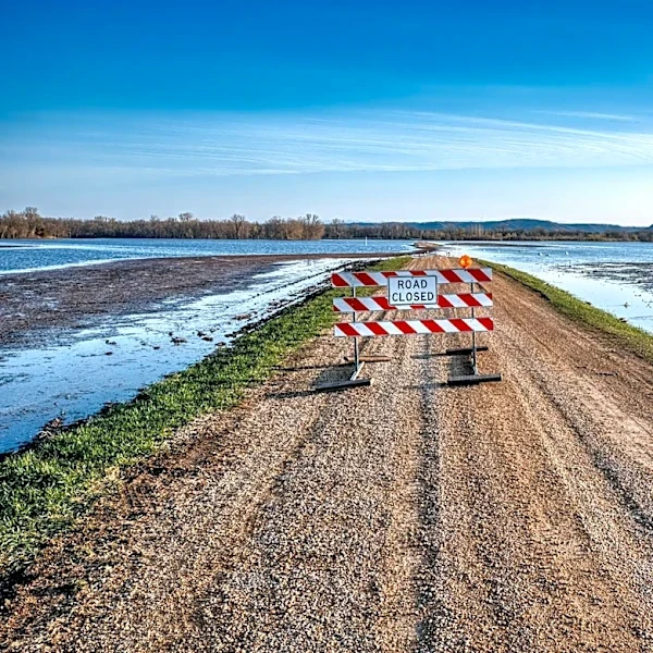 Wetlands Play Key Role in Reducing Flood Losses Across the USA