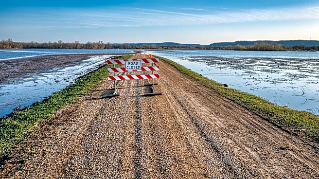 Wetlands Play Key Role in Reducing Flood Losses Across the USA