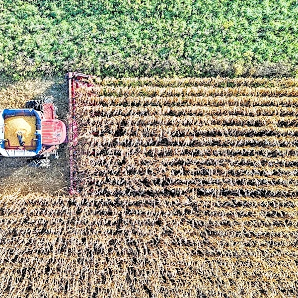 Heavy Rains and Ideal Planting Conditions Set Stage for 2026 Farm Progress Show in Boone, Iowa