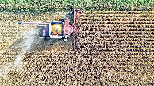 Heavy Rains and Ideal Planting Conditions Set Stage for 2026 Farm Progress Show in Boone, Iowa
