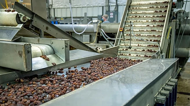 Heatwave Preparation: Challenges and Opportunities for Food Manufacturers
