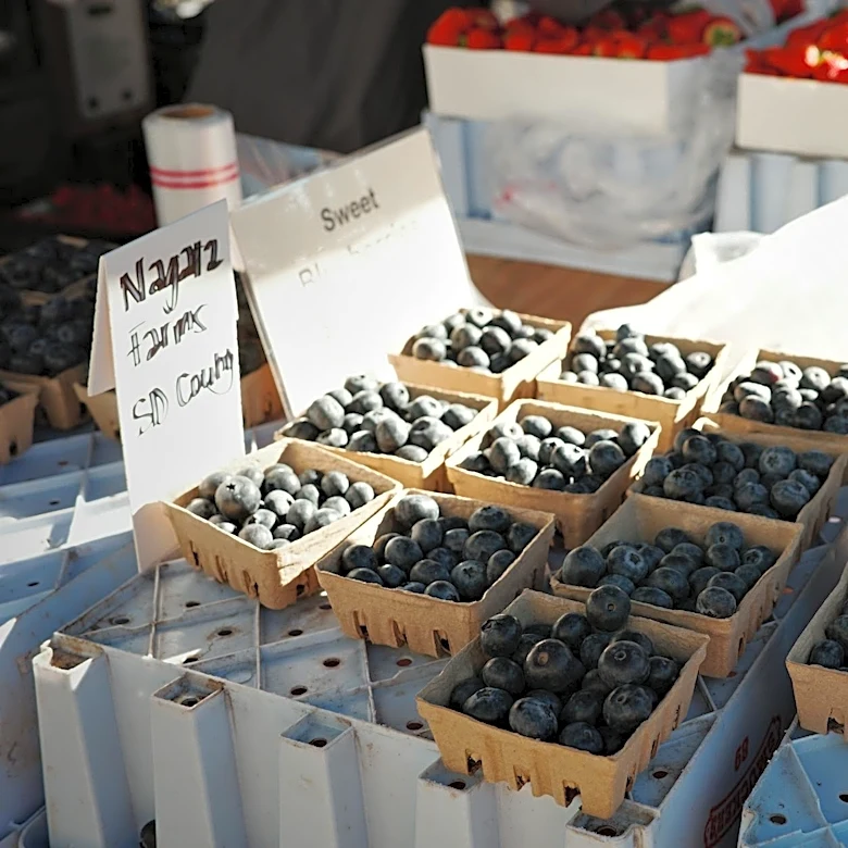 Cherry Season Concludes in California Amid Seasonal Weather Shifts