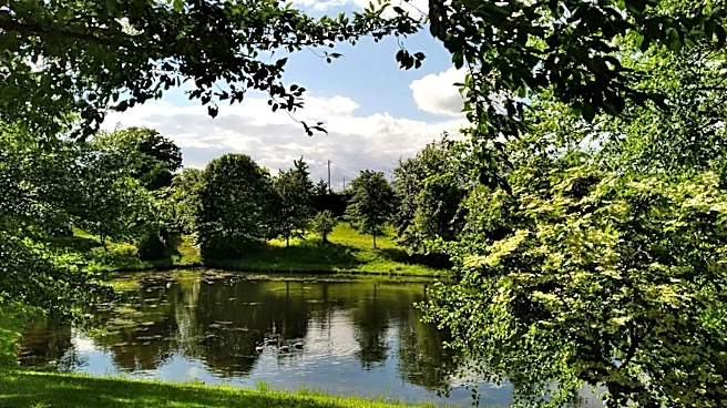 Maryland Enjoys Pleasant Start to Meteorological Summer