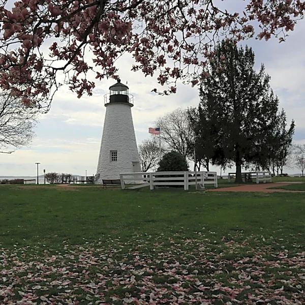 Beautiful Weather Expected Across Maryland This Week