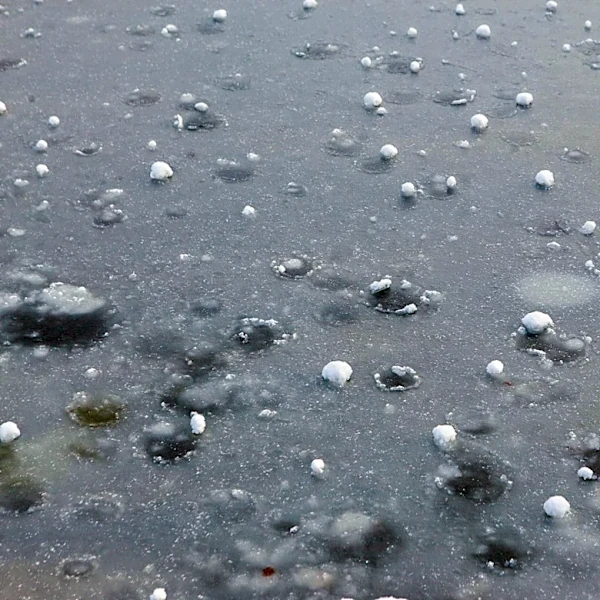 Denver Hit by Golf Ball-Sized Hail, Causing Significant Disruption