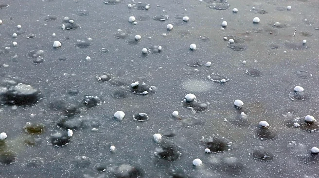 Denver Hit by Golf Ball-Sized Hail, Causing Significant Disruption