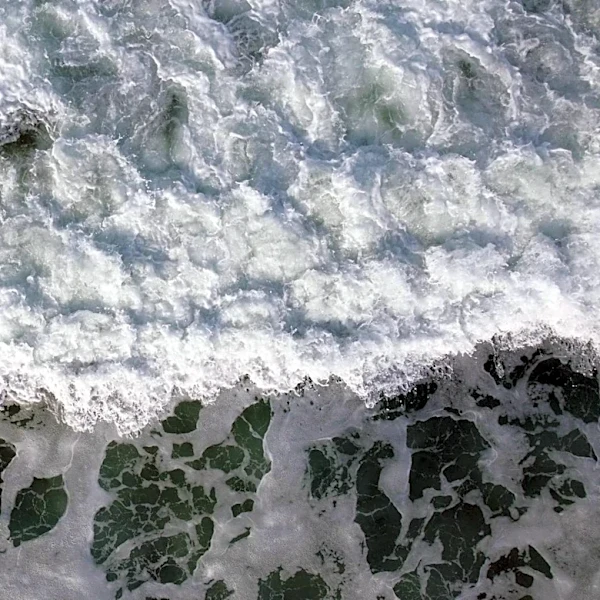 High Rip Current Risk Issued for South Carolina's Lowcountry Coast