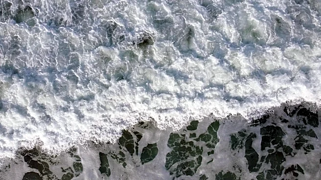 High Rip Current Risk Issued for South Carolina's Lowcountry Coast