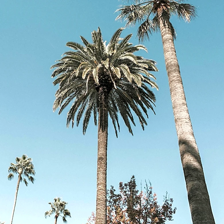 Los Angeles Weather: Warmer Temperatures Expected Through Thursday