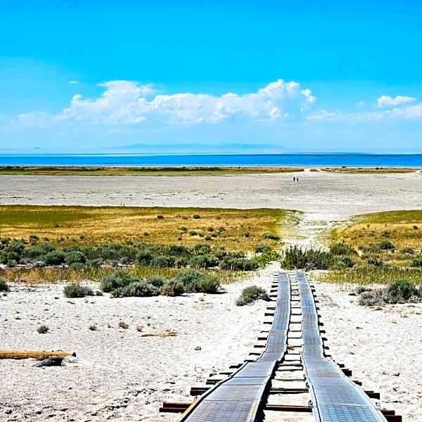 Northern Utah Farmers Highlight Urban Growth as Key Pressure on Great Salt Lake