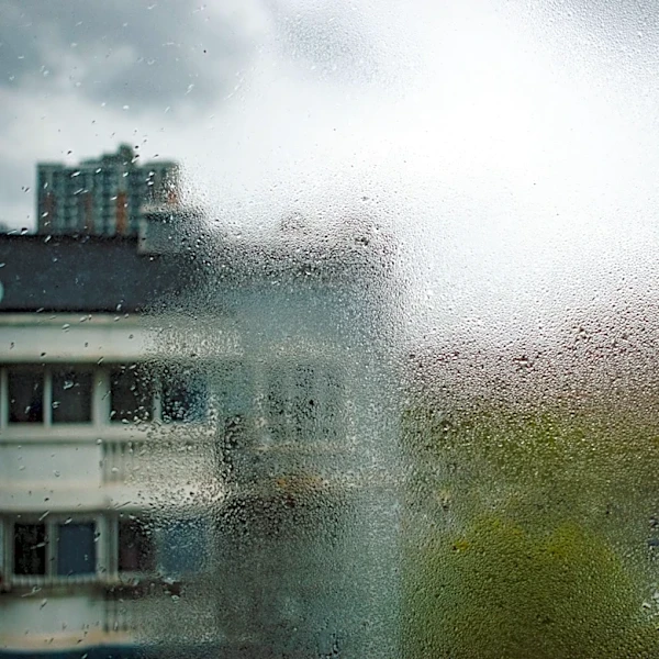 Minnesota Weather Update: Rising Humidity Expected on June 4, 2026