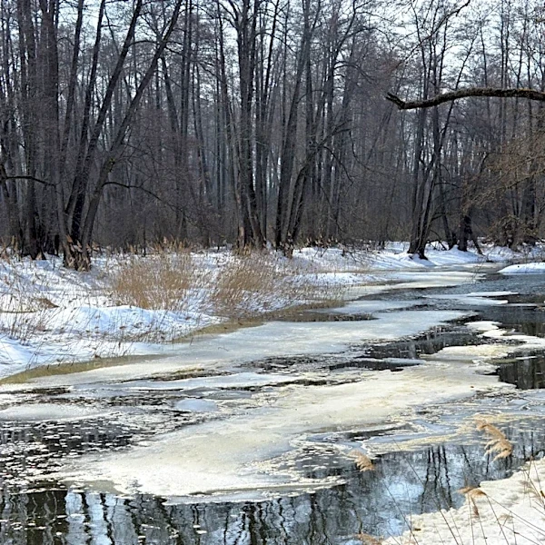 Two Children Die in Colorado Waterways Amid Safety Warnings