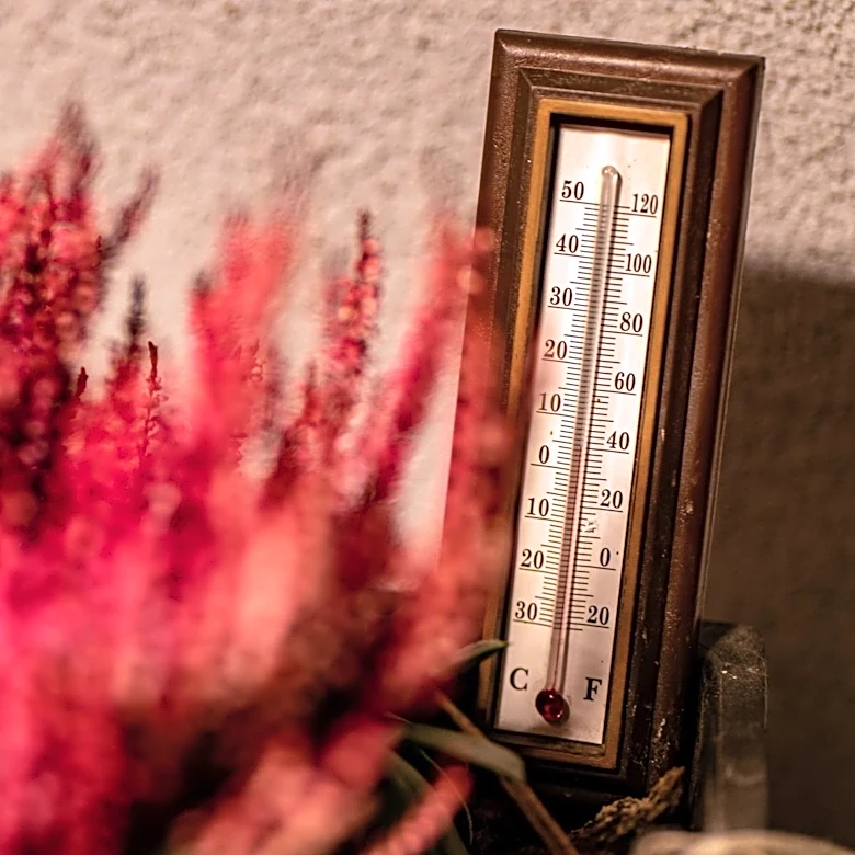 Warm Temperatures Persist Across Maryland