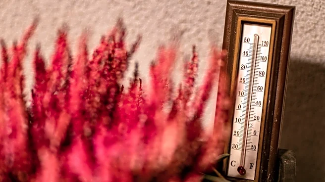 Warm Temperatures Persist Across Maryland