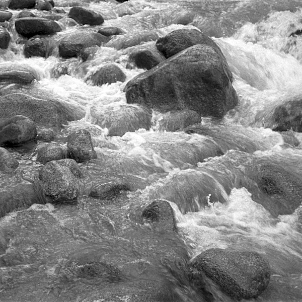 Tragic Creek Incident Claims Life of 4-Year-Old in Boulder County, Colorado