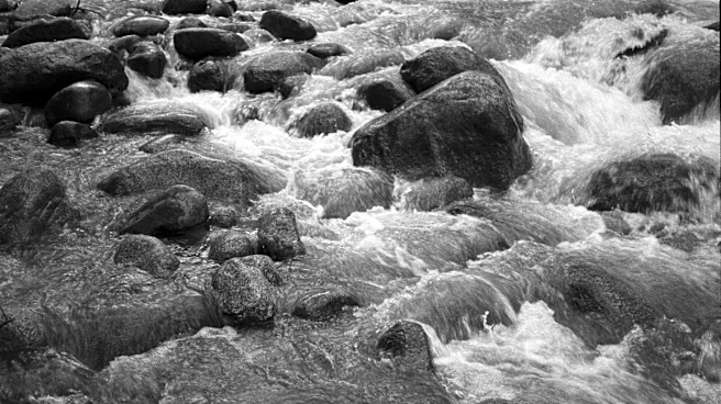 Tragic Creek Incident Claims Life of 4-Year-Old in Boulder County, Colorado