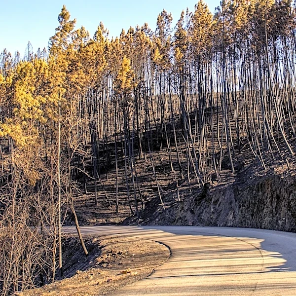 National 7-Day Significant Fire Potential Overview