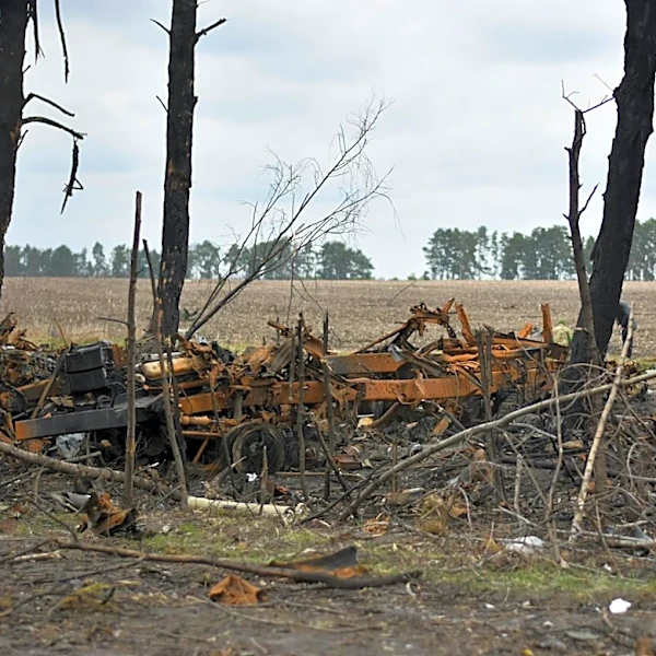 Spring Frost Causes Severe Crop Losses in New York's Finger Lakes Region