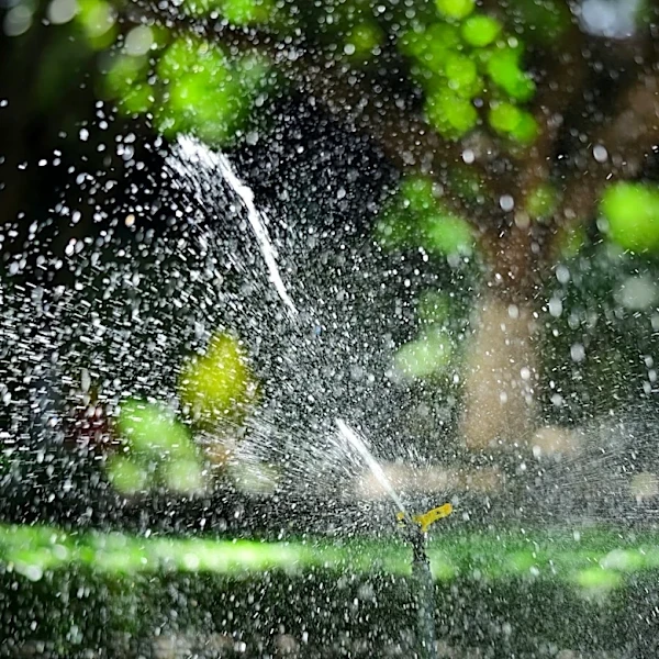 Smart Sprinklers Enhance Irrigation with Weather Automation
