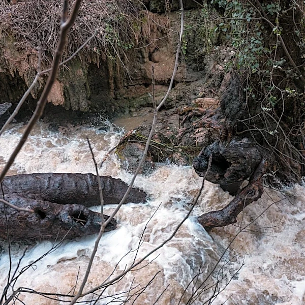 Front Range Danger: Rushing Water Claims Two Lives