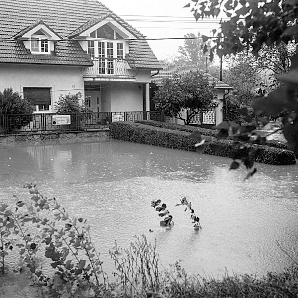 Hurricane Season Highlights Insurance Coverage Gaps and Market Resilience