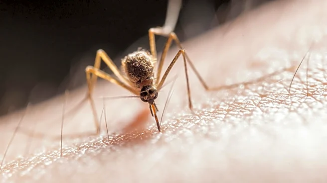 West Nile Virus Detected in San Diego Crows, Early Warning Issued
