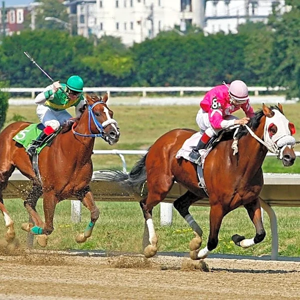 Is Bad Weather About to Shake Up Belmont Stakes?