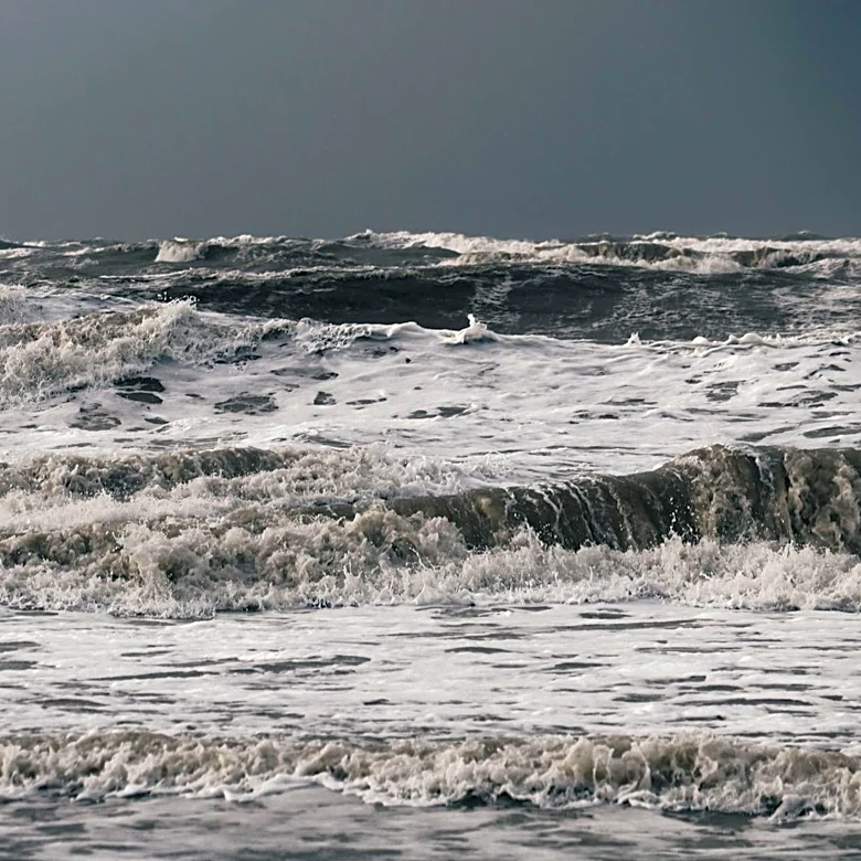 Trump Administration's Plan to Cut Ocean Monitoring Sparks Global Concerns