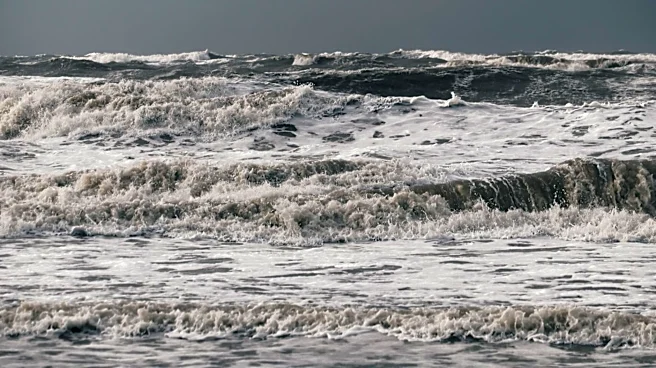 Trump Administration's Plan to Cut Ocean Monitoring Sparks Global Concerns