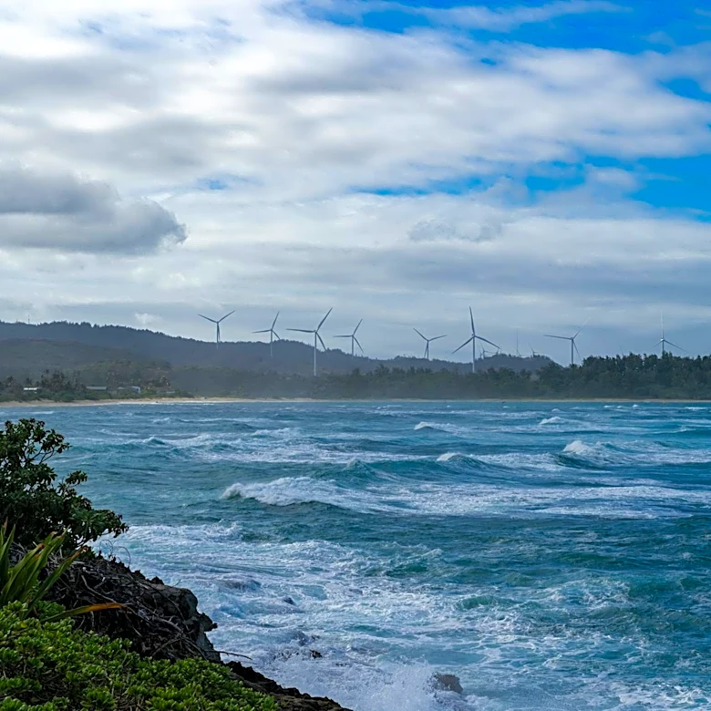 Scientists Warn of Risks from U.S. Ocean Monitoring Cuts