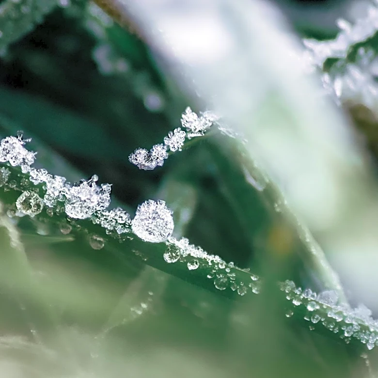 Unseasonably Chilly Weather Persists in Central Ohio Amid Polar Vortex Influence