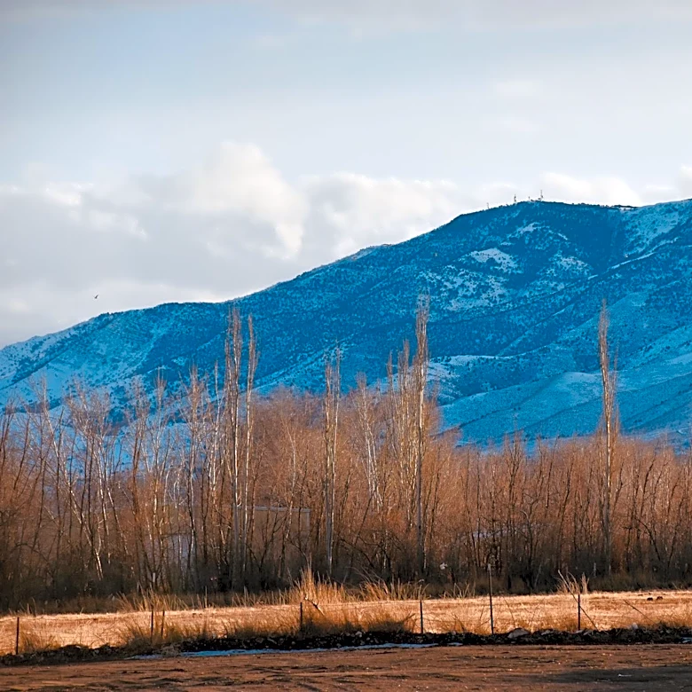 Late Spring Frosts Threaten Utah's Fruit Harvest