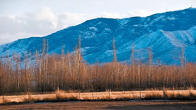 Late Spring Frosts Threaten Utah's Fruit Harvest