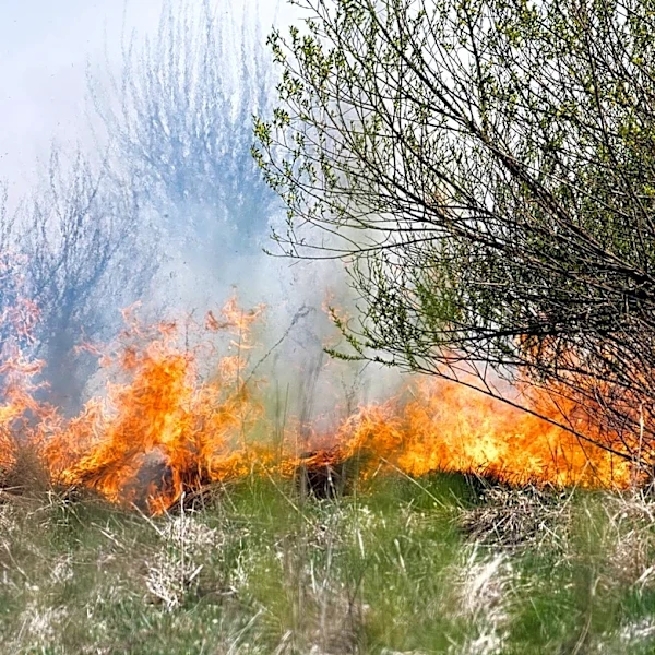 Ohio Statewide Burn Ban Lifted, Caution Still Advised