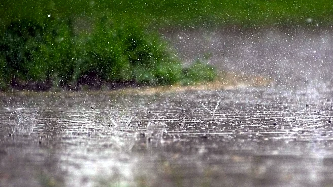 Heat and Humidity Grip South Florida Ahead of Heavy Rain