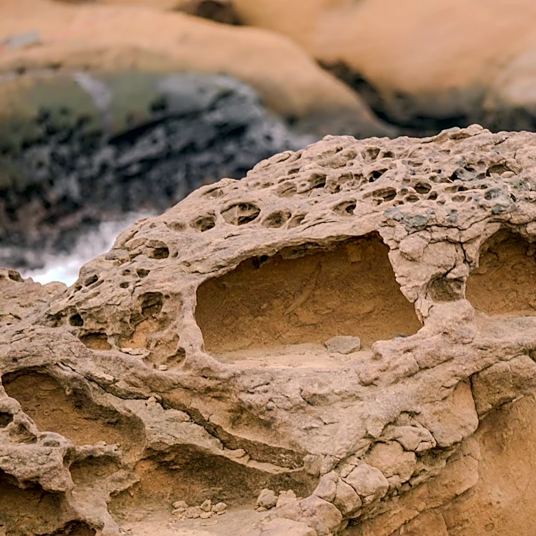 Los Angeles Coastline Walk Highlights Weather and Environmental Challenges