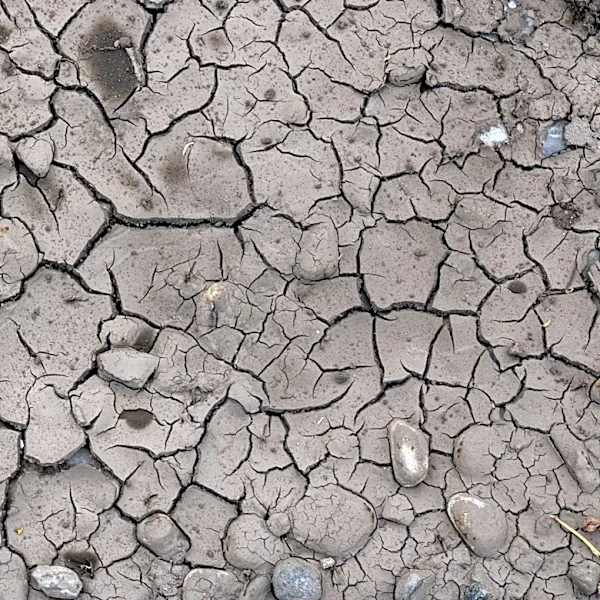 Recent Rains in Texas Bring Hope for 2026 Crops Amid Drought Challenges