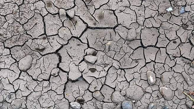 Recent Rains in Texas Bring Hope for 2026 Crops Amid Drought Challenges